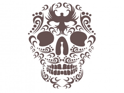 cifra_koponya_barna_631188582