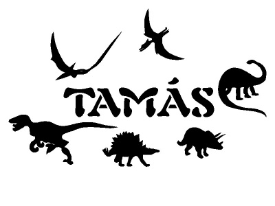 dnk_nvvel_fekete_1806334646