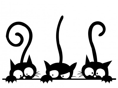 fekete_cick_539272534