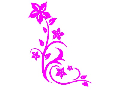 inda_virg_rzsaszn_311777416