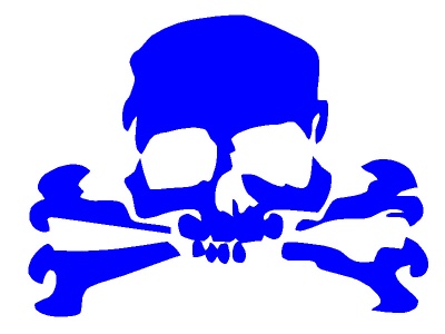 koponya_csont_kk_496918630