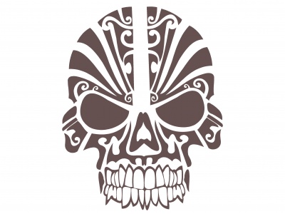 koponya_dszes_barna_1737038161