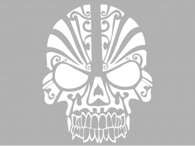 koponya_dszes_fehr_460248073