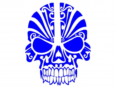 koponya_dszes_kk_1622138180