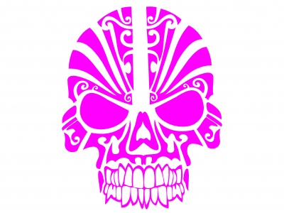 koponya_dszes_rzsaszn