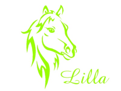 l_fej_nvvel_zld_1955463120