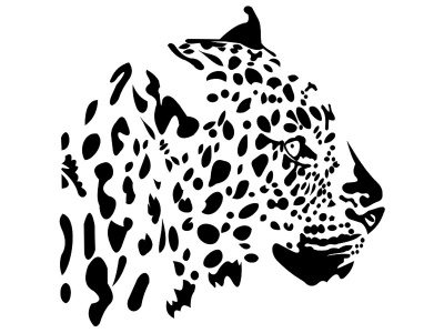 leopard_fej_117100395