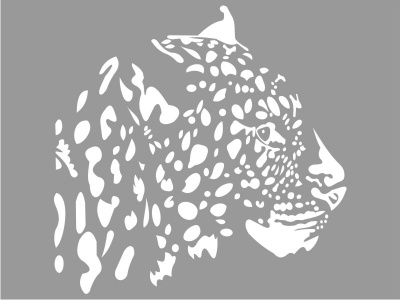 leopard_fej_fehr_1829558291