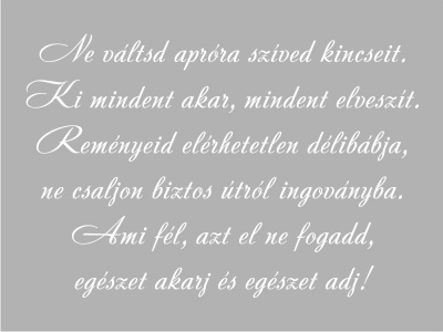 ne_vltsd_fehr_995999814