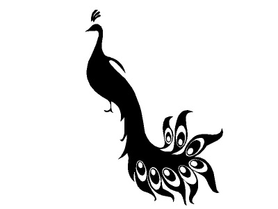 pva_fekete_1707594244