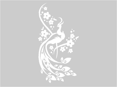 pva_nonfiguratv_fehr_541335267