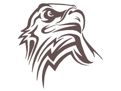 sas_fej_barna_1261246605