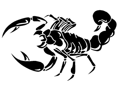 skorpi__fekete_631481836