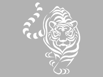 tigris_fehr_331164414