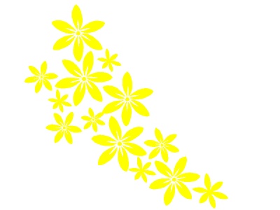 virgok_srga_1120590500